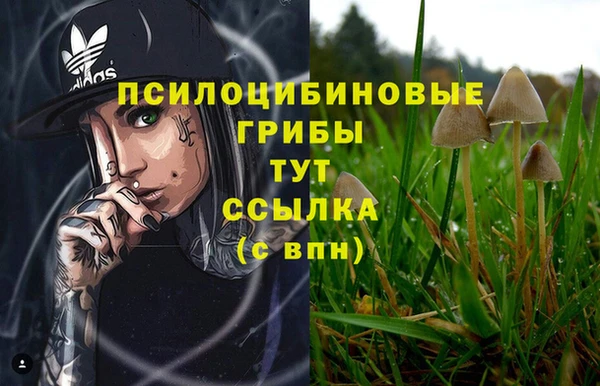 гидра Верея