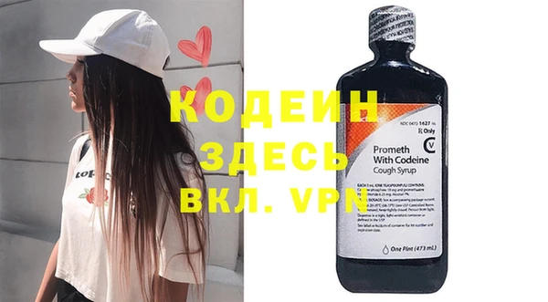 гидра Бородино