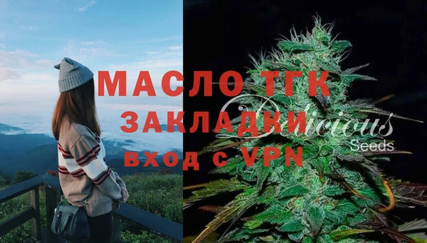 сатива Верхний Тагил