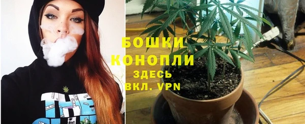 спиды Бронницы